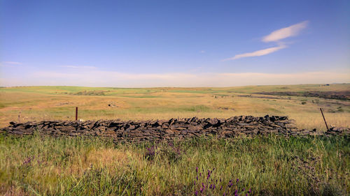 Landscape of national park zona de interes regional llanos de caceres y sierra de fuentes