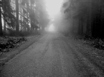 Road passing through trees