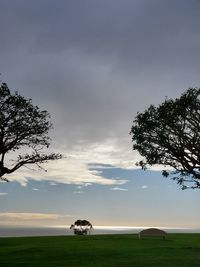 Scenic view of field against sky during sunset