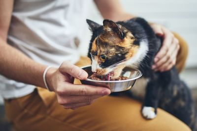 Midsection of man feeding cat on hardwood floor