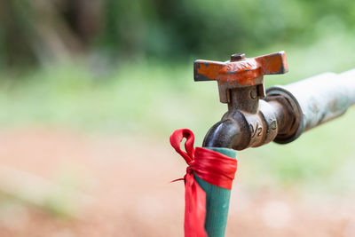 Hoses that connect to the faucet with an old connector at the back of the house