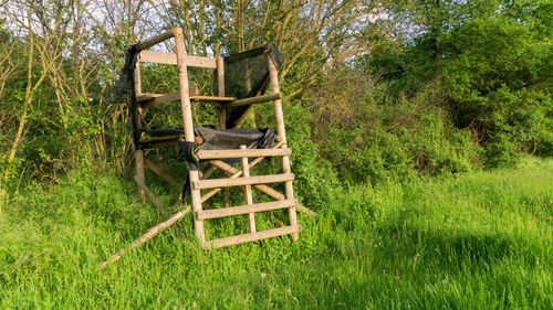 Empty bench in forest