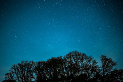 Low angle view of silhouette trees against star field at night