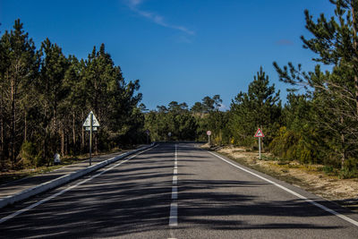 Road amidst trees against sky