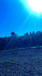 Scenic view of field against blue sky