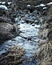 Scenic view of water