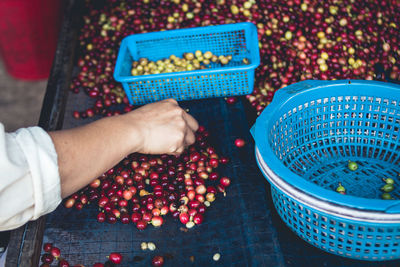 Cropped hand picking red berries on table