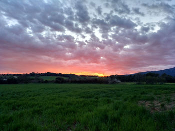 Scenic view of field against sky during sunset