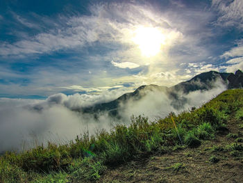 Scenic view of landscape against sky