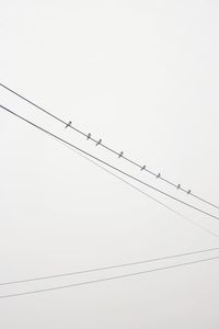 Low angle view of birds flying against clear sky