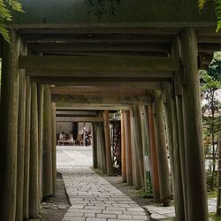 Corridor of building