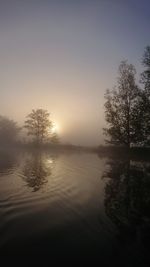 Silhouette trees by lake against sky during sunset