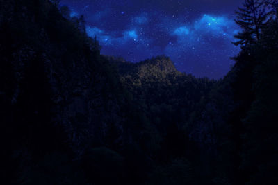 Low angle view of trees against sky at night