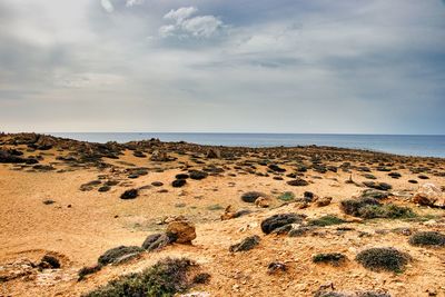 Scenic view of beach against sky