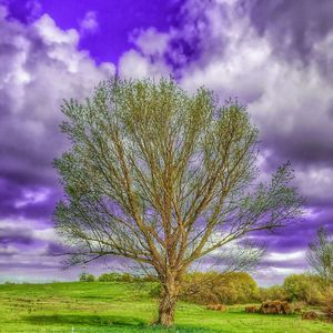 Scenic view of grassy field against cloudy sky