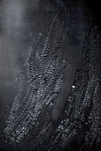 High angle view of vineyard