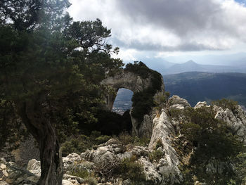 Scenic view of rock formation amidst trees against sky