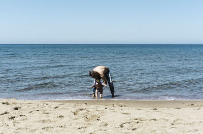 View of horse on beach against clear sky