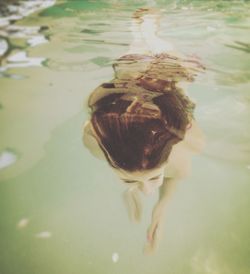 High angle view of turtle swimming in water
