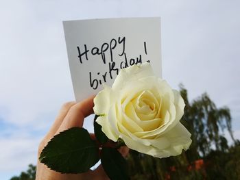 Close-up of hand holding rose bouquet