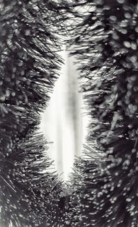 Close-up of waterfall in forest