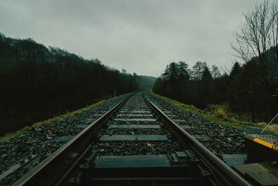 Railroad tracks amidst trees against sky