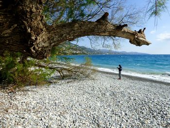 Man standing on beach