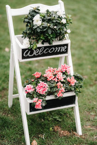 Flower pots on plant