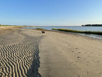 Scenic view of beach against clear sky