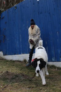 Close-up of bucovina dog and women