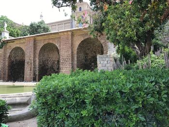 Plants and trees in front of building