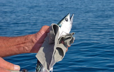 Midsection of person holding umbrella against sea