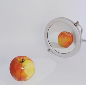 High angle view of apple on table against white background