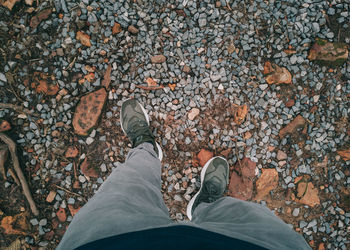 Low section of man standing on autumn leaves