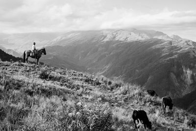 View of horses on landscape