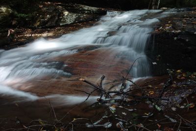 Scenic view of waterfall in forest