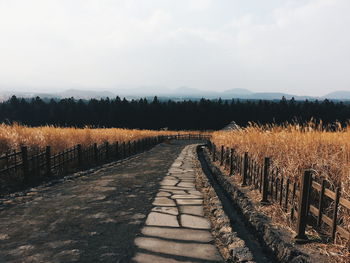 Scenic view of country road against cloudy sky