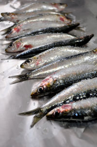 High angle view of fish for sale in market