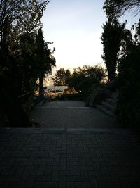 Footpath amidst trees against sky during sunset