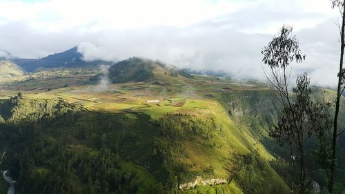 Scenic view of golf course against sky