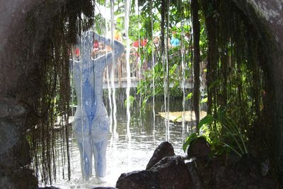 People standing by trees in forest