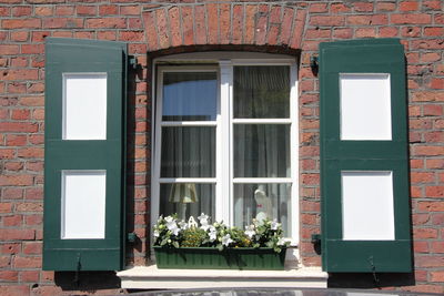 Potted plant on window of building