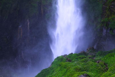 Scenic view of waterfall in forest