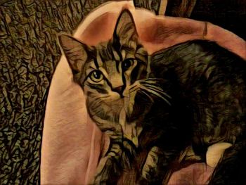 Close-up of human hand