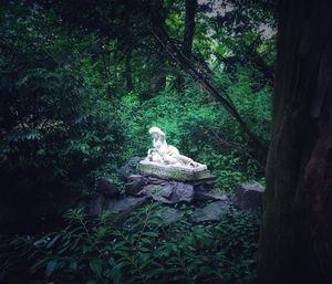 Statue amidst trees in forest