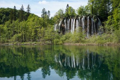 Scenic view of lake in forest against sky