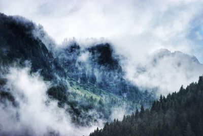 Panoramic view of trees and mountains against sky