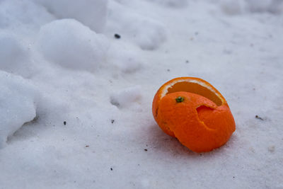Close-up of orange fruit on snow