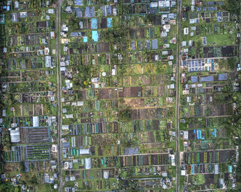 Drone view looking down at allotment gardens in hessle, east yorkshire, uk