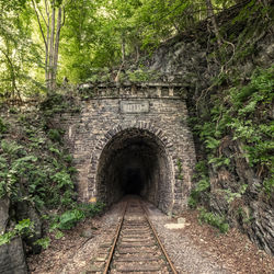 Railroad tracks amidst trees in forest